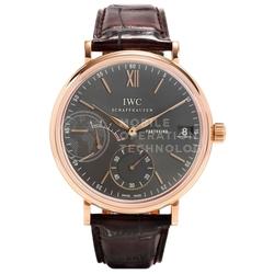 IWC IW510104