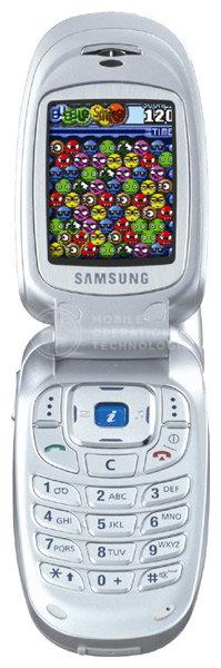 Samsung SGH-X450