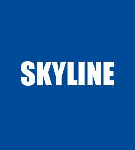 Диагностика SkyLine