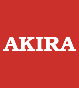 Замена встроенной памяти Akira
