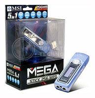 MSI Mega Stick 256