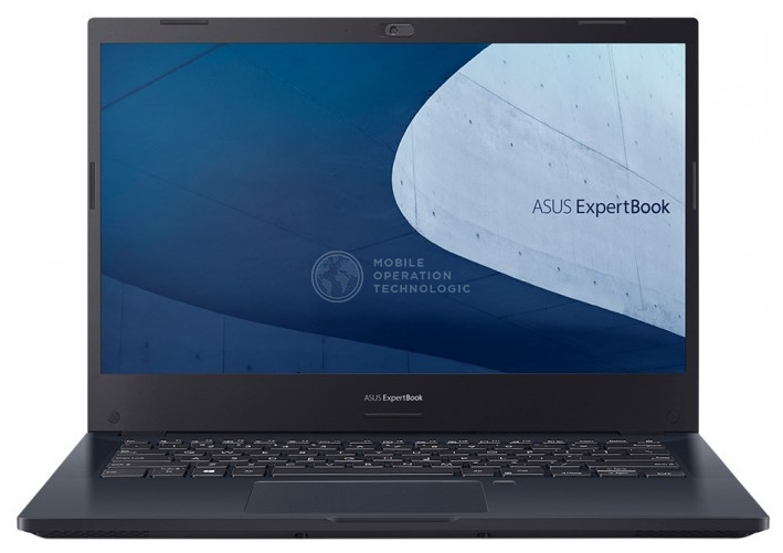 ASUS ExpertBook P2 P2451FA-BM1357R 