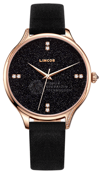 LINCOR 2101S3L4